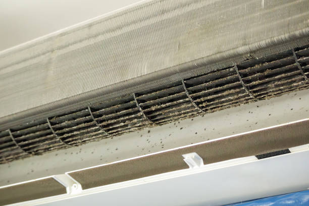 Best Air Vent Cleaning Services  in Shortsville, NY